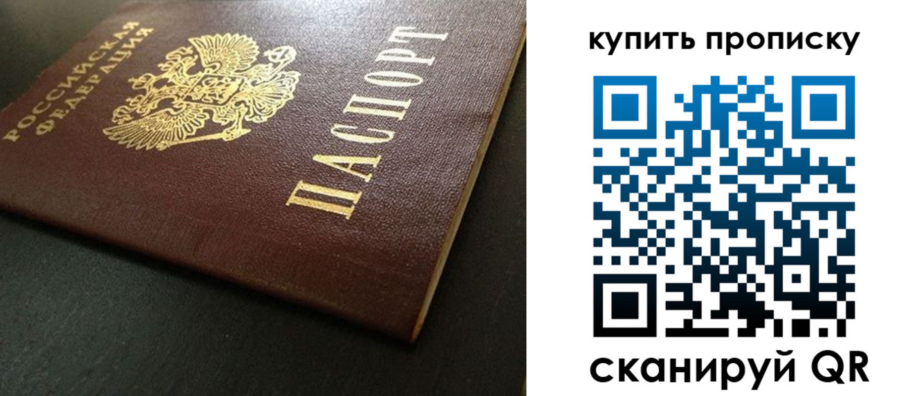 прописка законно в Зеленоградске